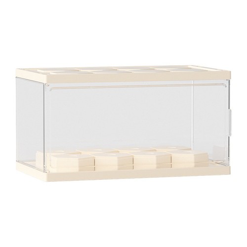 Acrylic figure protector case - figure,